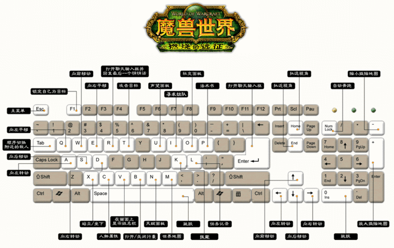 魔兽世界游戏规则的类型及介绍